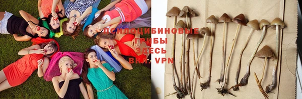 альфа пвп Арсеньев