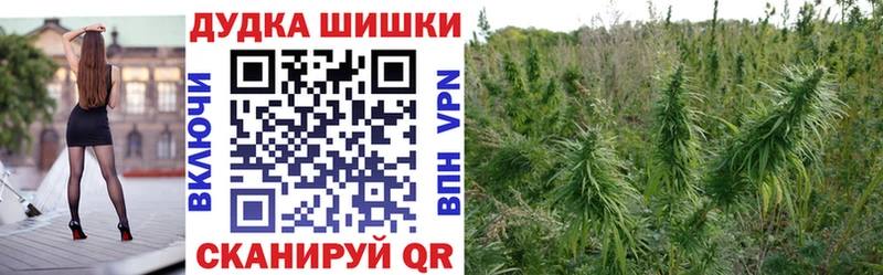 Бошки Шишки планчик Туринск